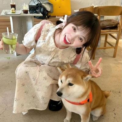 索尼娅与公牛